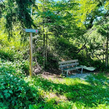 Zum Hirsch'n Apartmán Waldkirchen