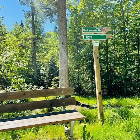 Zum Hirsch'n Apartmán Waldkirchen